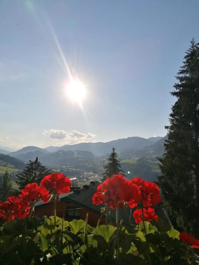 Ferienhaus Deutschmann Sankt Johann im Pongau Exterior foto